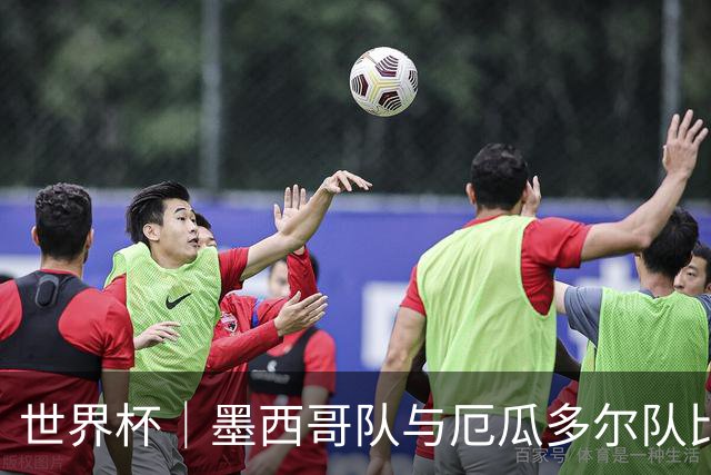 世界杯｜墨西哥队与厄瓜多尔队比赛因雷雨延迟
