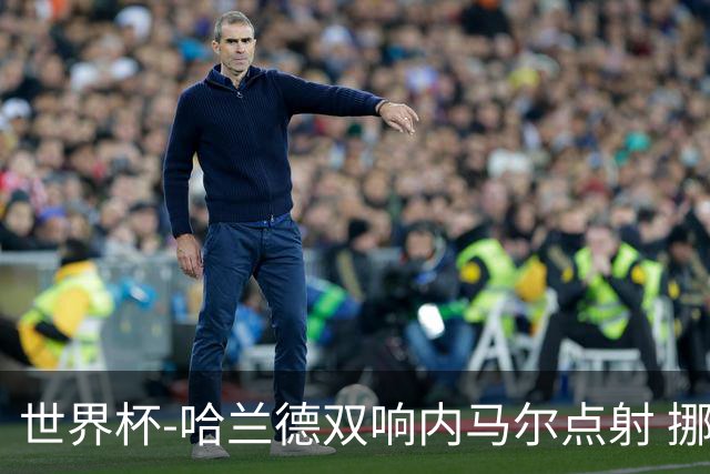 世界杯-哈兰德双响内马尔点射 挪威2-1淘汰巴西进8强